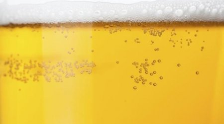 Science says beer is good for you