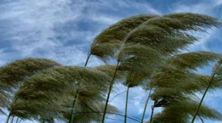 Baku weather forecast for July 19