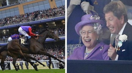 Queen's horse fails drugs test