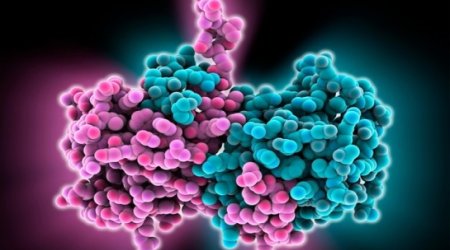 Why Ebola is so dangerous