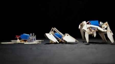 Robots inspired by origami fold themselves into motion