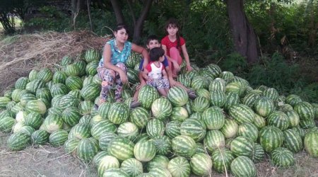 Armenian girls selling watermelons in Azerbaijan's Zangilan - PHOTO