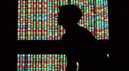 Success can be attributed to racial differences within genetics