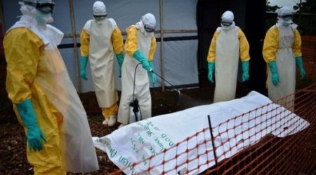 Ebola crisis vastly underestimated, says WHO