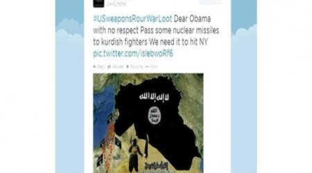 Diaspora social network cannot stop IS posts