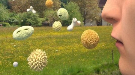 Scientists sniffing out the Western allergy epidemic