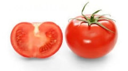 Tomatoes 'important in prostate cancer prevention'