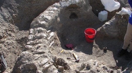 'Dreadnought' dinosaur yields big bone haul - PHOTO