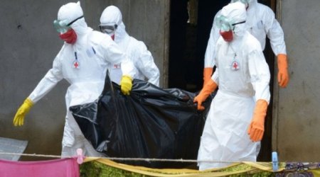 Ebola: How bad can it get?