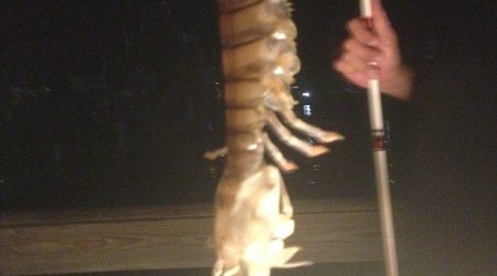 Fisherman reels in 18-inch mystery species - PHOTO