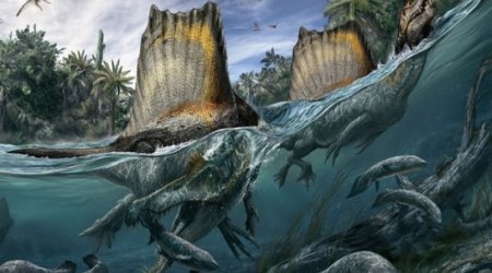 'Giant swimming dinosaur' unearthed