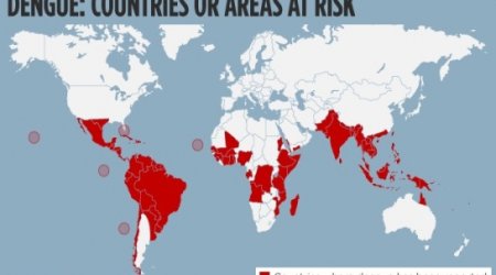Going abroad? Here are 10 diseases you need to watch out for