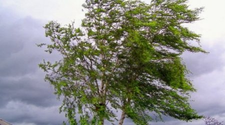 Azerbaijan weather forecast for Sep.13