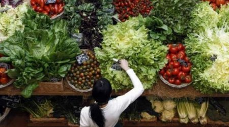 Russian food ban offers big opportunity for Azerbaijan