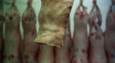 What does human meat taste like? - PHOTO