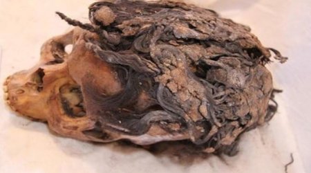 3,000-year-old ancient Egyptian woman with more than 70 hair extensions