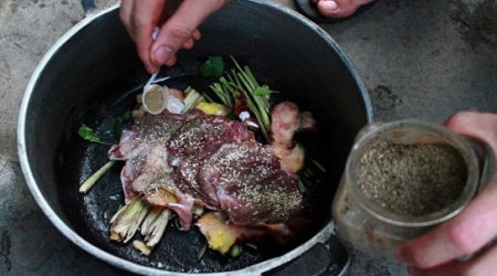 'What's wrong with eating a cat?'