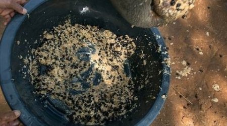 Dünyanın ən bahalı qəhvəsinin qeyri-adi tərkibi - FOTOLAR