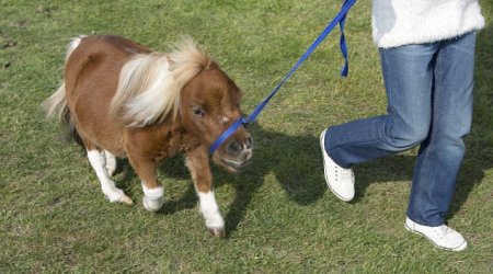 He's one of the family! - PHOTO+VIDEO