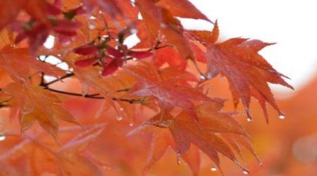 Azerbaijan weather forecast for Oct.5