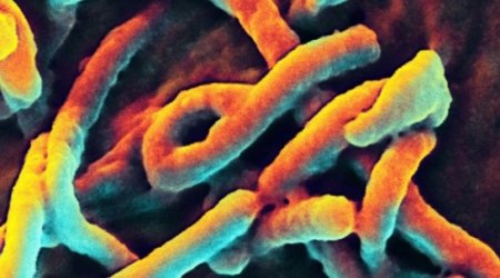 Ebola is 'entrenched' in West Africa