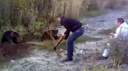 Russian brutally batters orphaned baby bear over the head with metal pipe - VIDEO