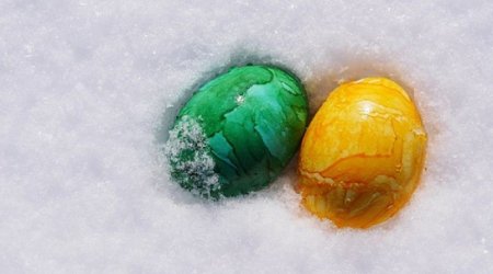 Apple and Facebook will pay for female employees to freeze their eggs