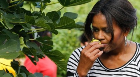 Michelle Obama releases utterly cringeworthy healthy eating rap - VIDEO