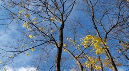 Azerbaijan weather forecast for Oct.16