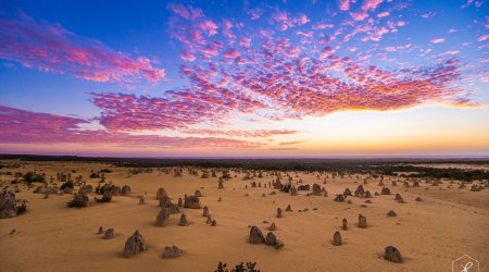 Newly-hatched turtles, starry nights and astonishing landscapes - PHOTO