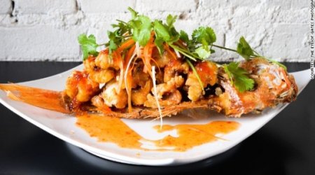 Finding the best food in the air ... and on the ground