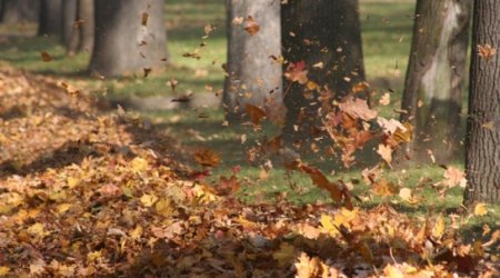 Baku weather forecast for Nov. 18