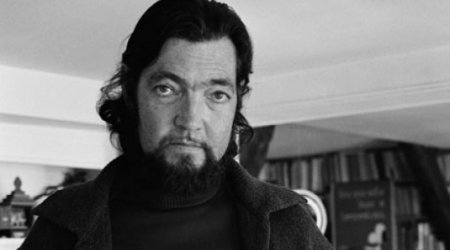 E-Kitab: Xulio Kortasar. Parkların vəhdəti. (Hekayə)