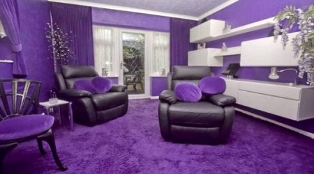 Semi-detached house is decorated entirely in PURPLE inside - PHOTO