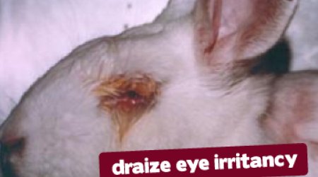 Cosmetic animal testing experiments pictures - PHOTO