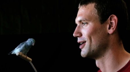 Unlocking secrets of bird flight to build flying robots