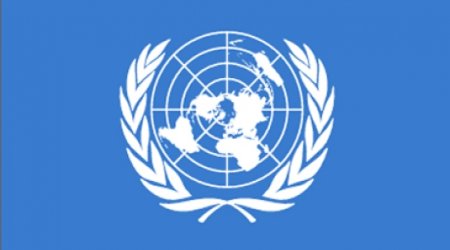 UN special rapporteur to visit Azerbaijan