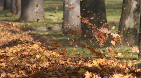 Warm weather expected in Azerbaijan