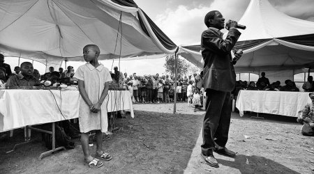 More than 500 trees planted in Baku’s Nasimi district - PHOTO