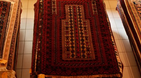 Hungarians treasure Azerbaijani carpets - PHOTO