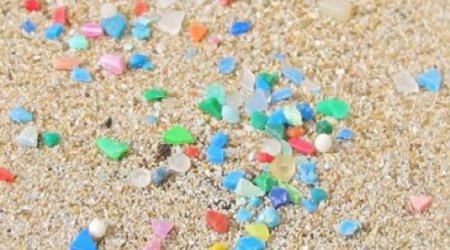 Plastic 'a threat' to biodiversity