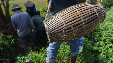 Restaurant in Vietnam offers rodent on a stick - PHOTO