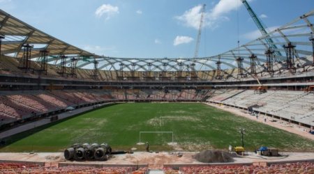 Supporters will face tarantulas, scorpions, snakes and venomous insects at football world - PHOTO