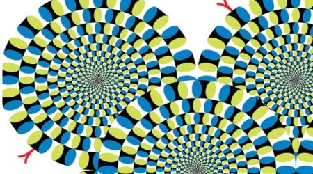 These two blocks are actually the same shade of grey