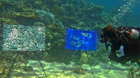 Great Barrier Reef stages underwater art exhibition - PHOTO