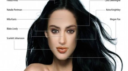 What the perfect woman looks like according to a man, vs a woman - PHOTO