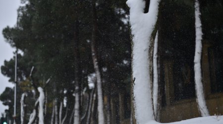 Views of Baku after the first snow - PHOTO