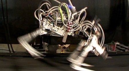 Google buys military robot-maker