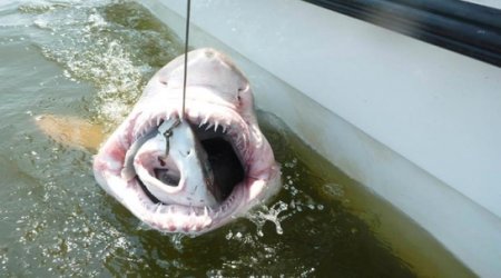 Photos of the Year - PHOTO