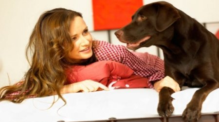 Dogs' ability to understand us is ever growing